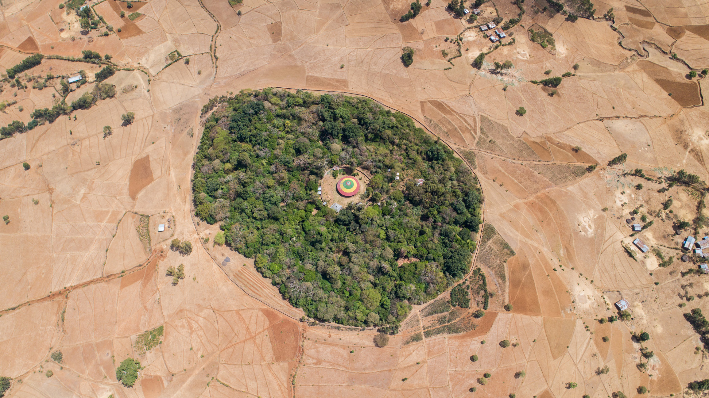 The Church Forests of Ethiopia – Emergence Magazine