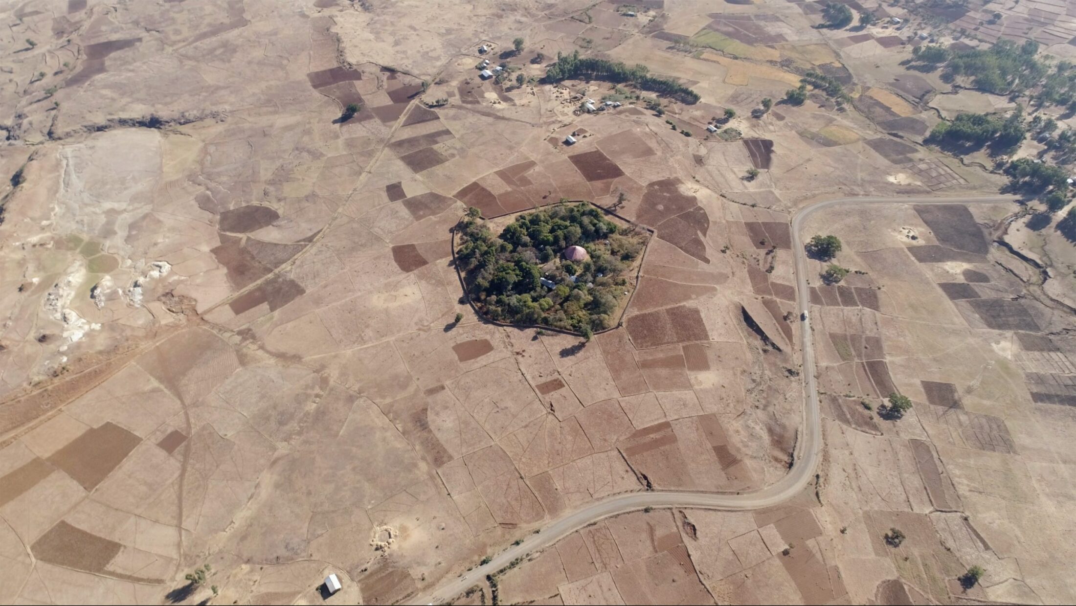 The Church Forests of Ethiopia – Emergence Magazine