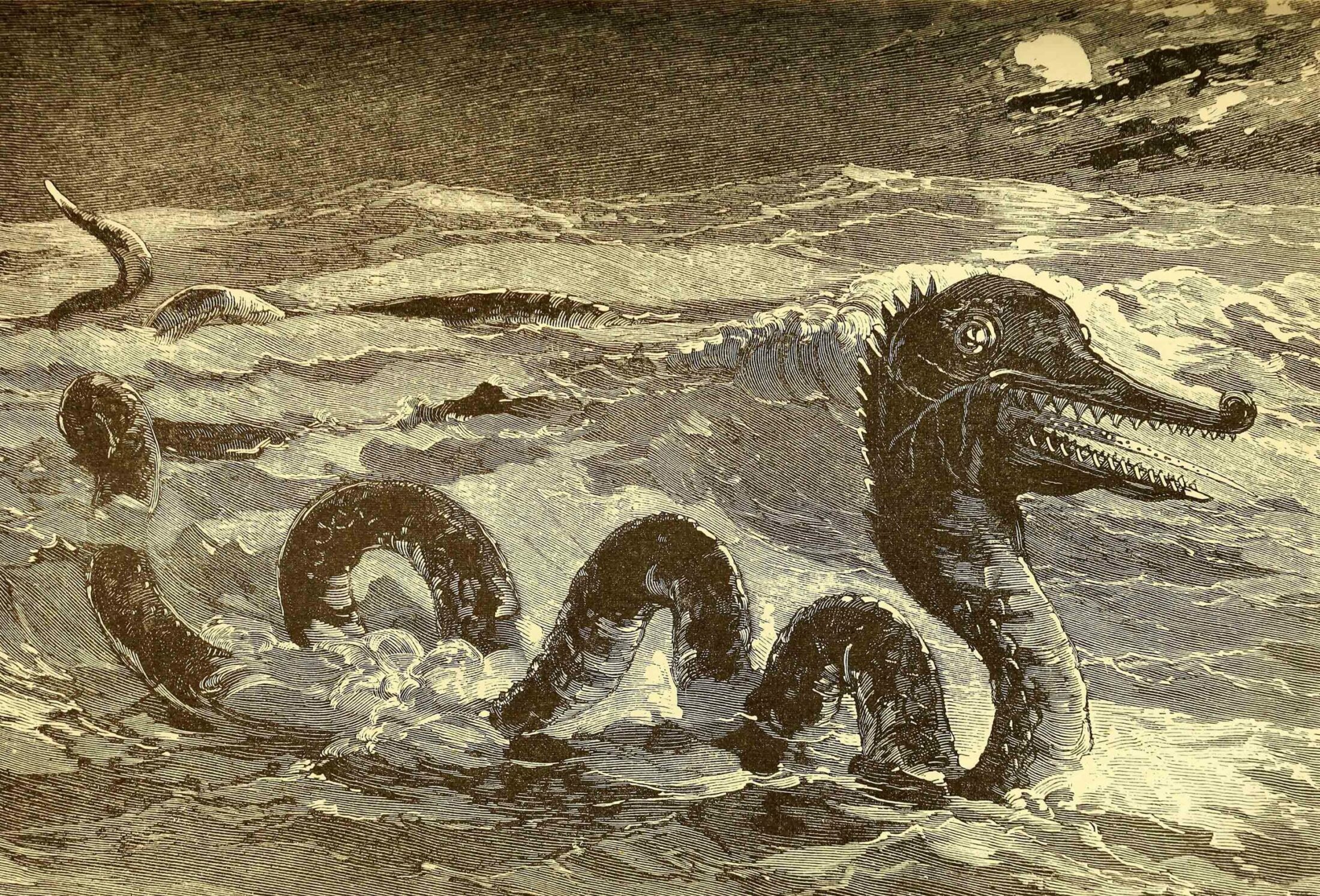 giant sea serpent drawing