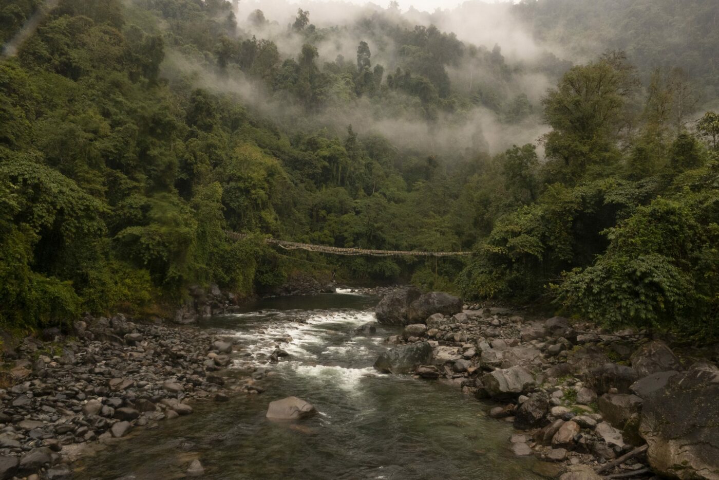 River at the Heart of the World Arati KumarRao