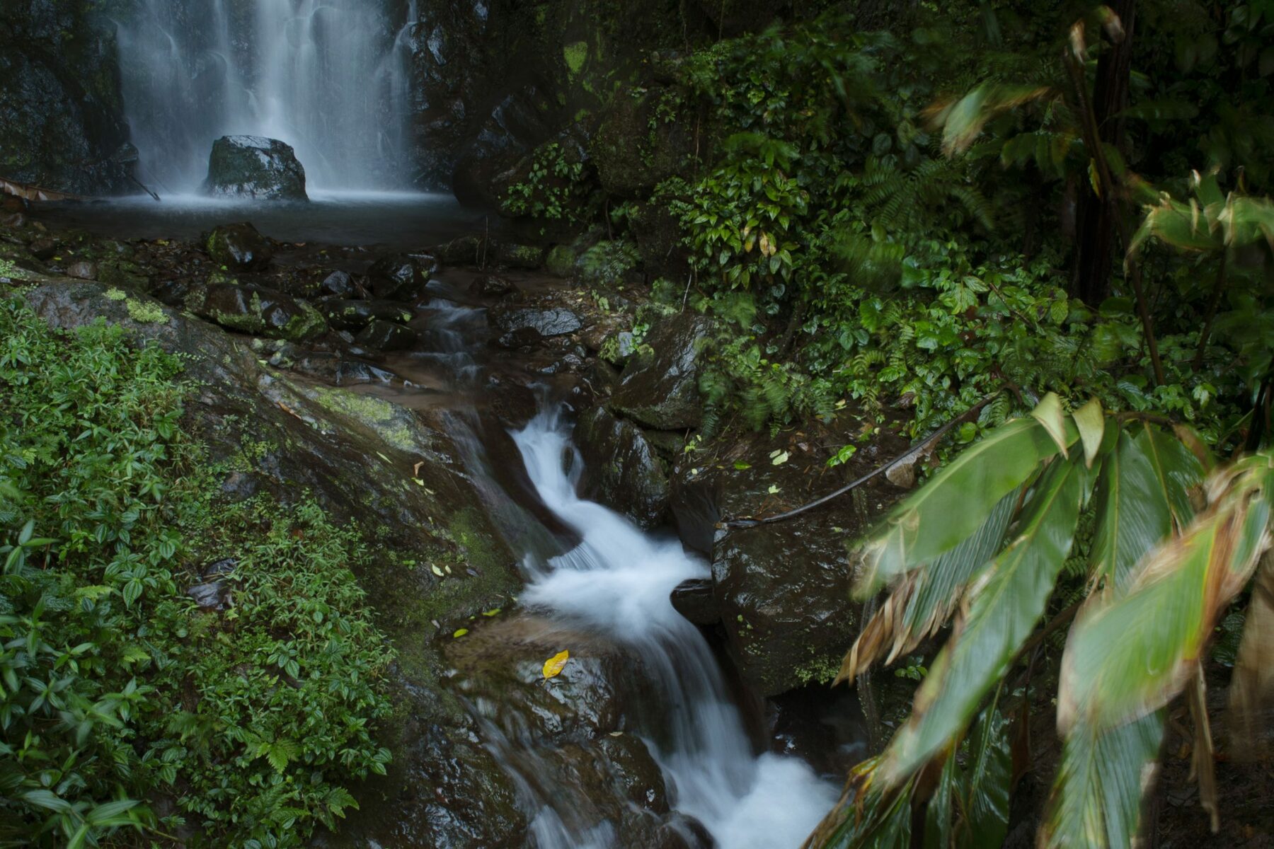 River at the Heart of the World – Arati Kumar-Rao