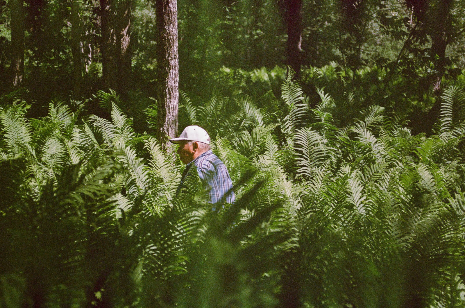 Horizons – Jeremy Seifert