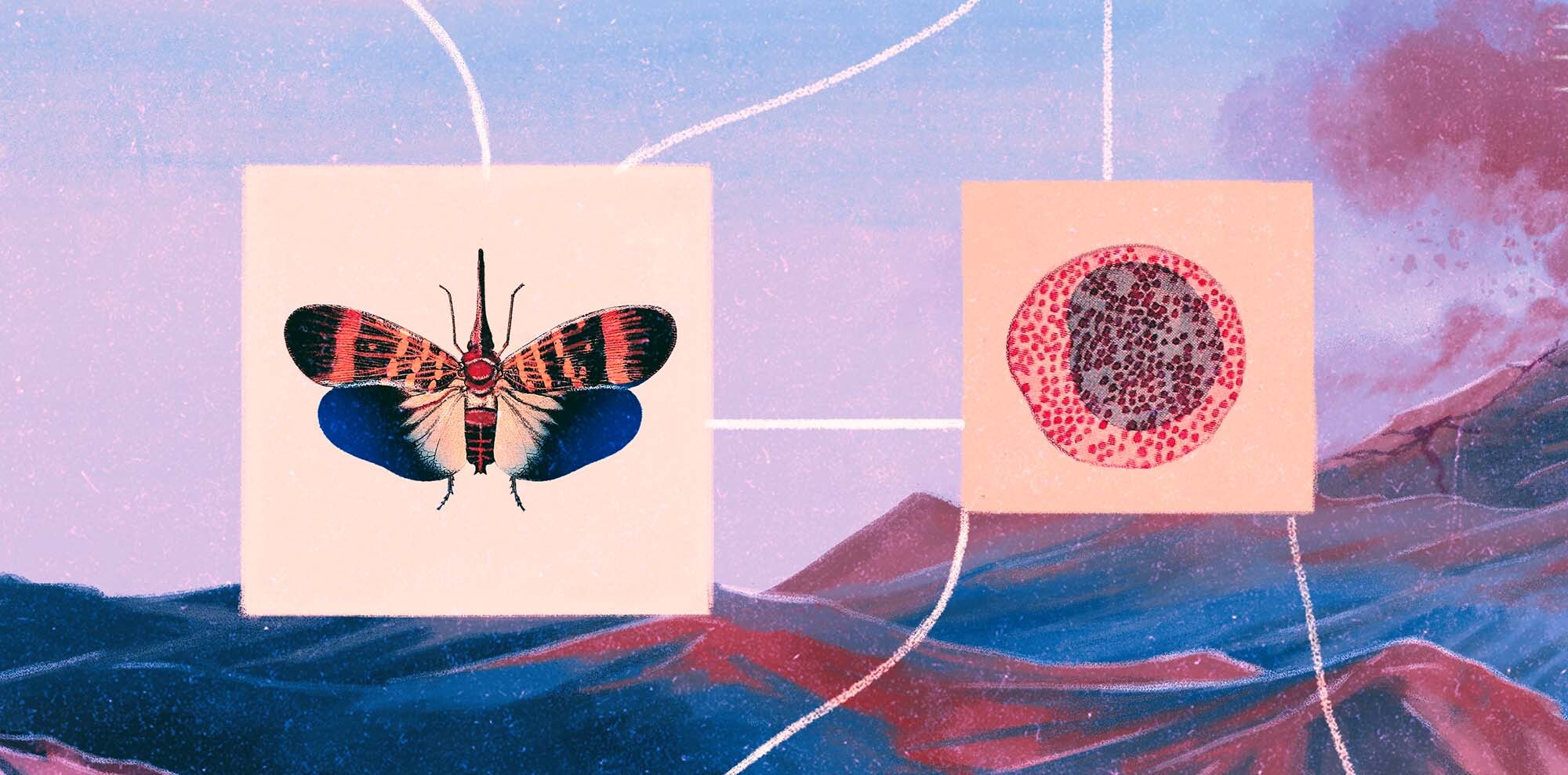 絵画 Listening Playful Listening – A Practice by David G. Haskell