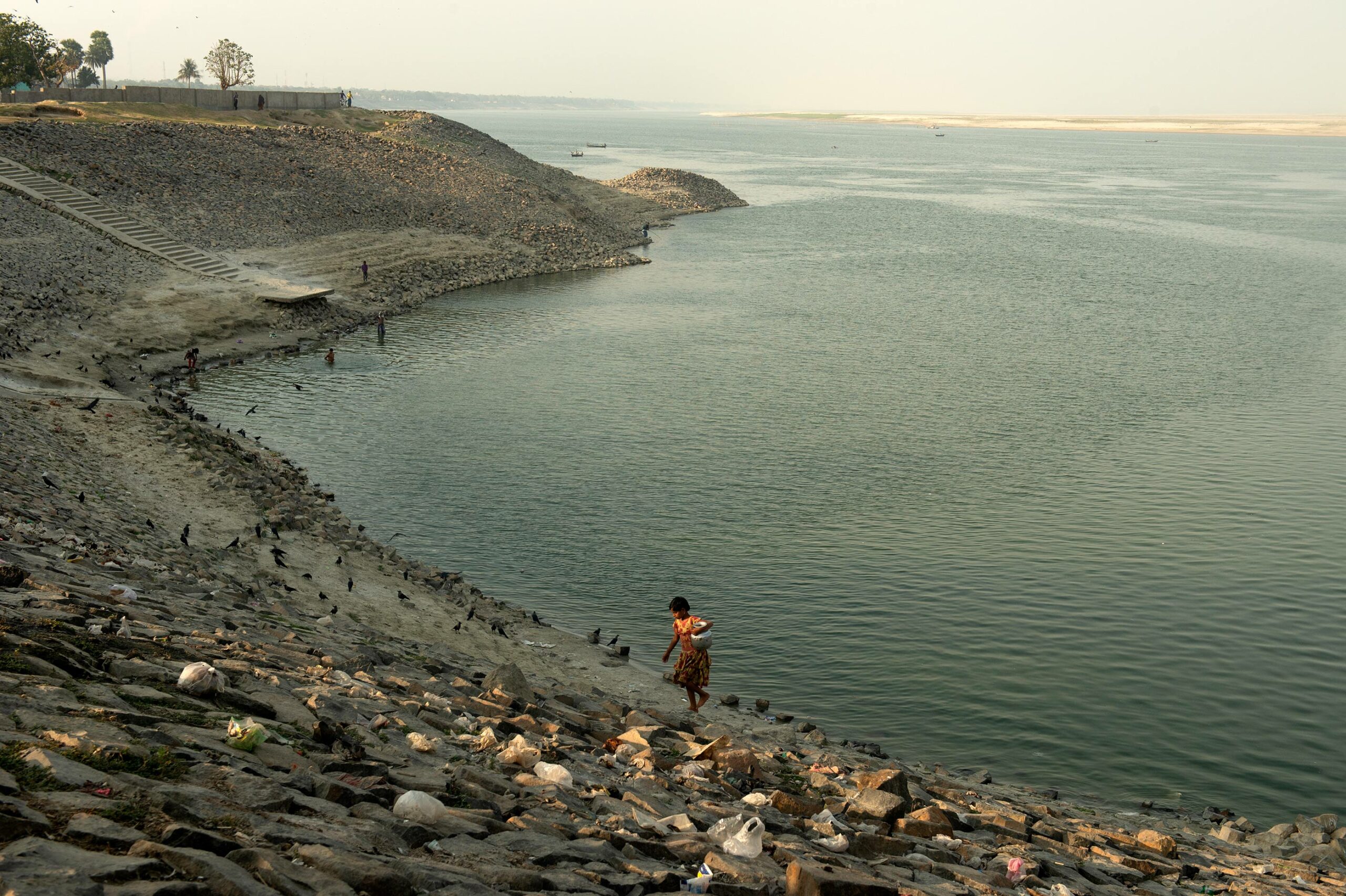 Bengal moves closer to setting up India's second dolphin community