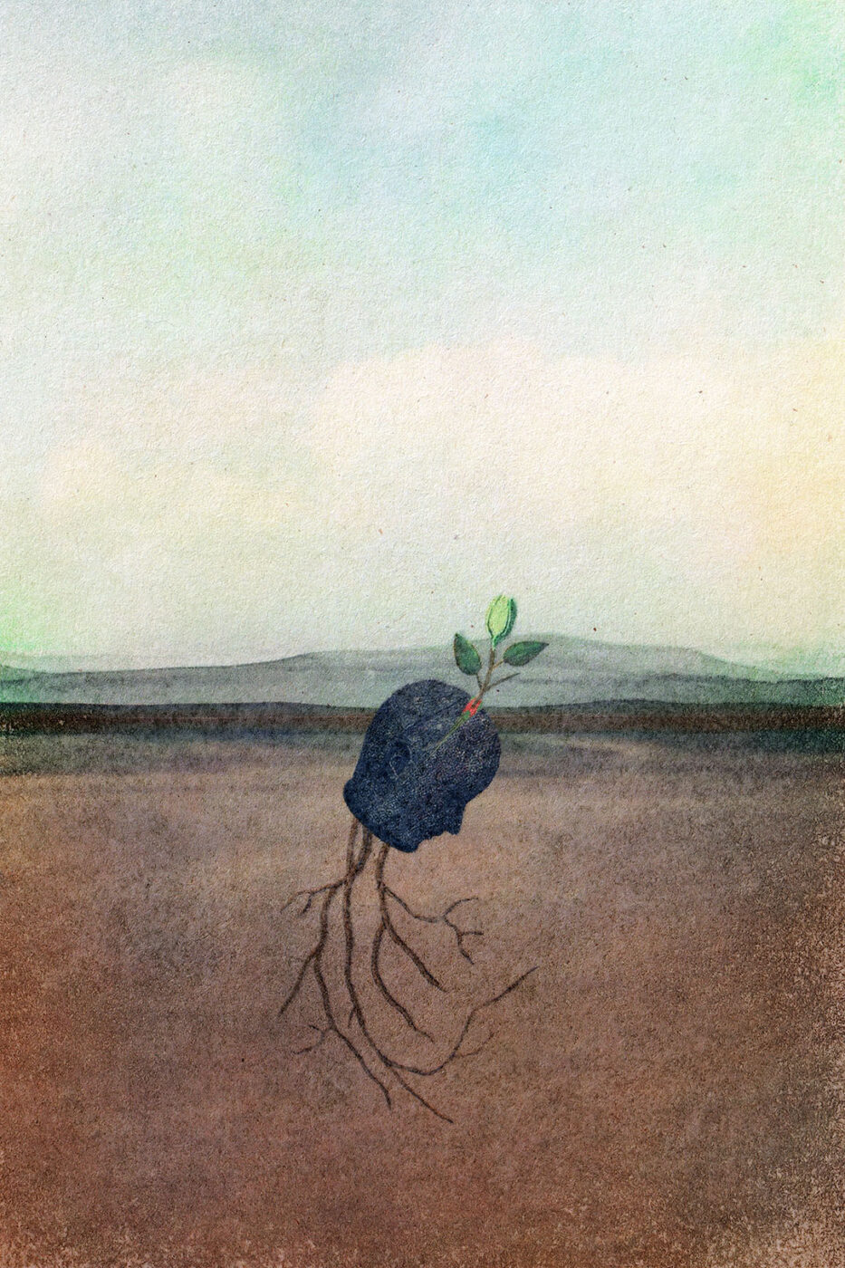Encountering Trees – An Emergence Magazine Practice
