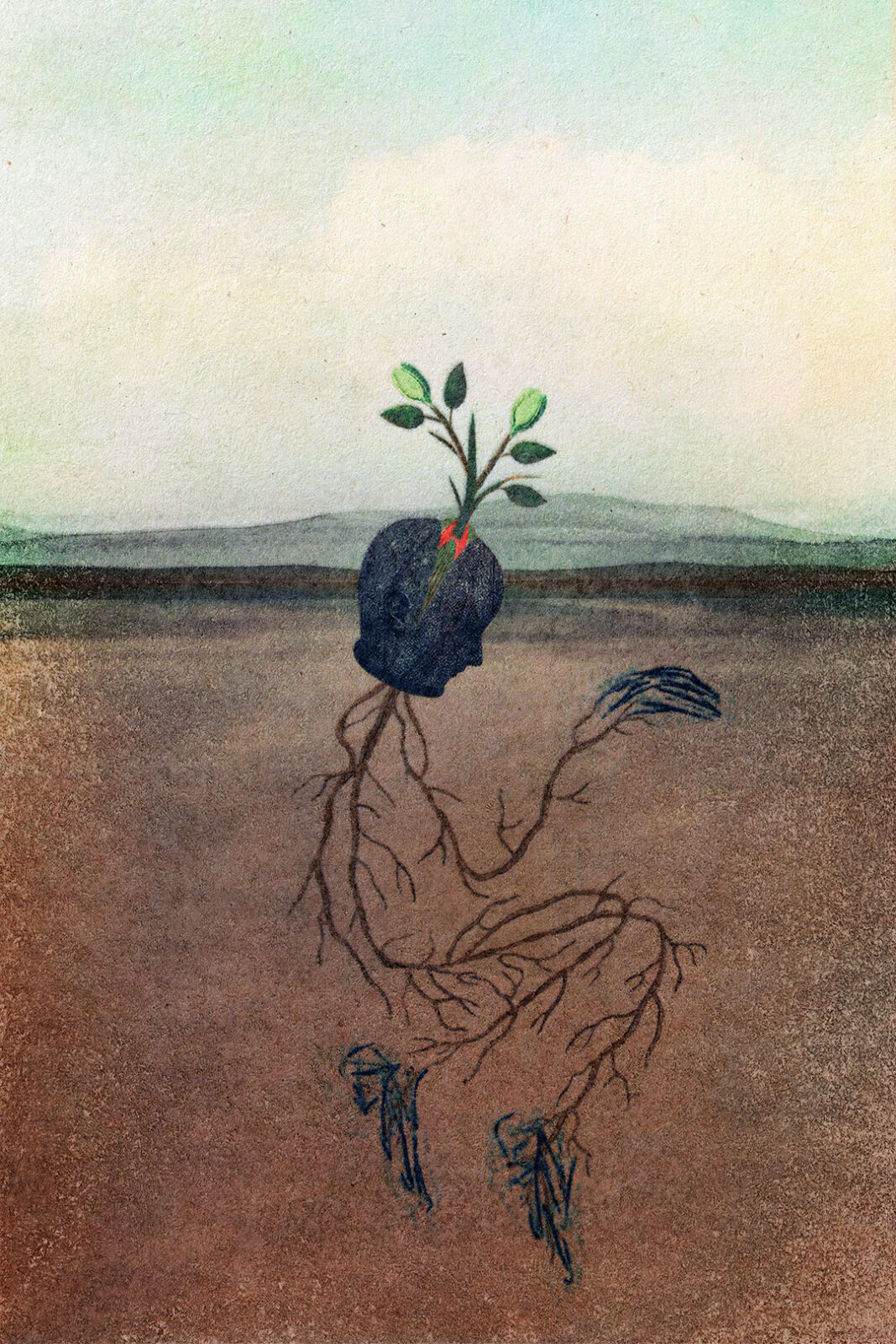 Encountering Trees – An Emergence Magazine Practice