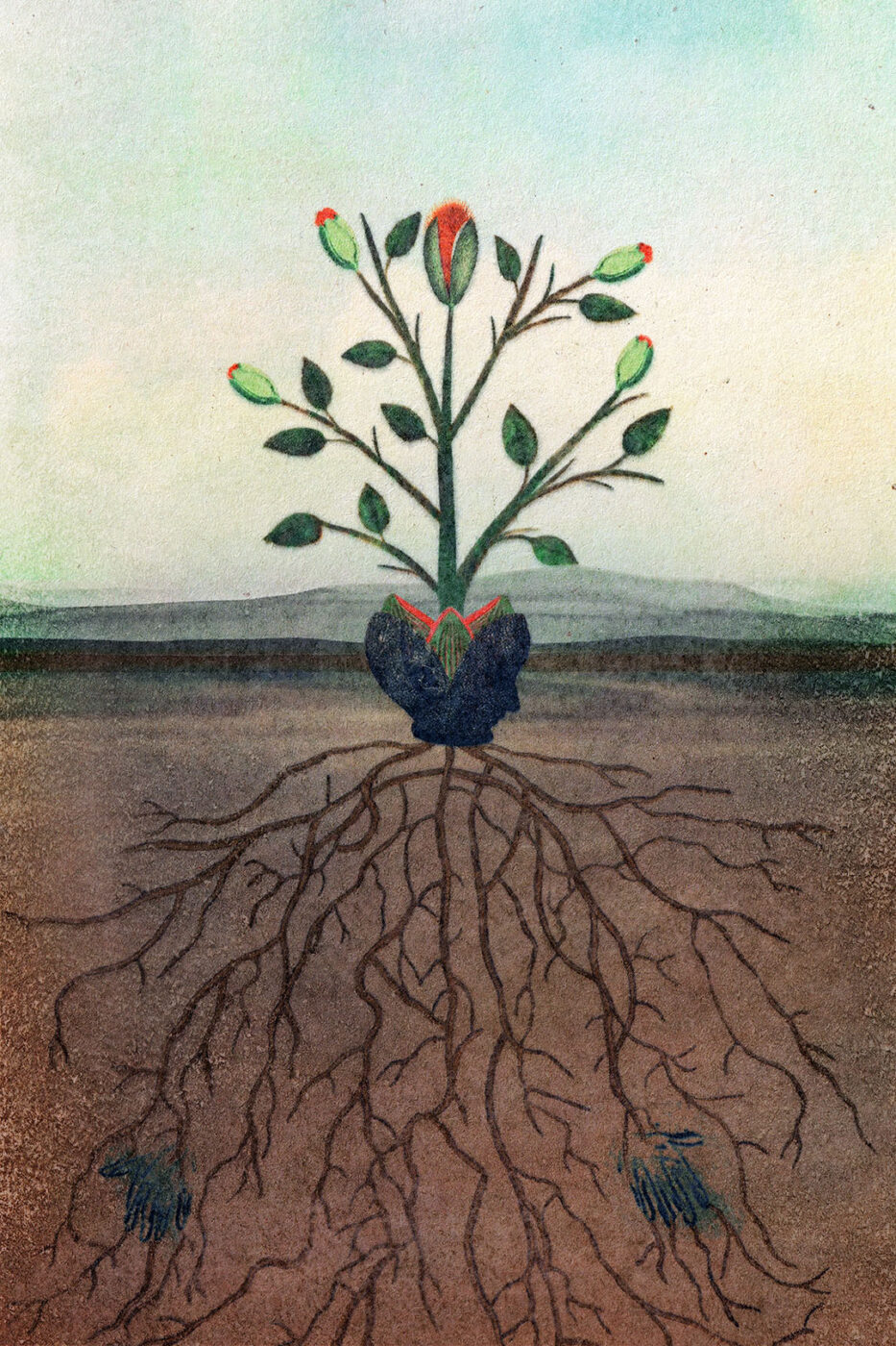 Encountering Trees – An Emergence Magazine Practice