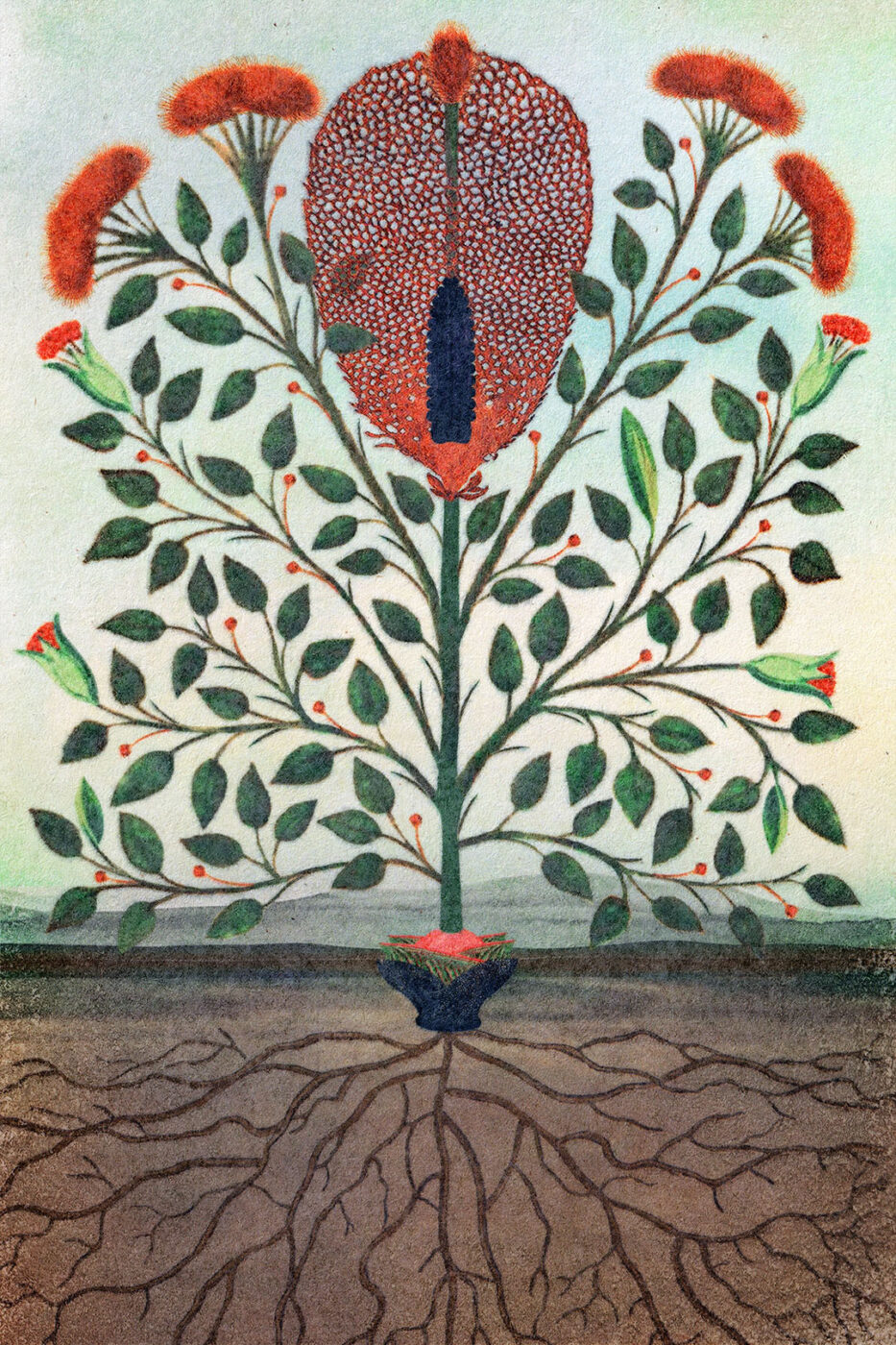 Encountering Trees – An Emergence Magazine Practice