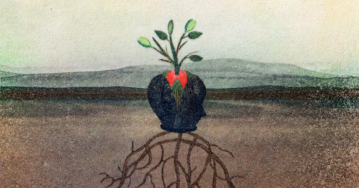 Encountering Trees – An Emergence Magazine Practice