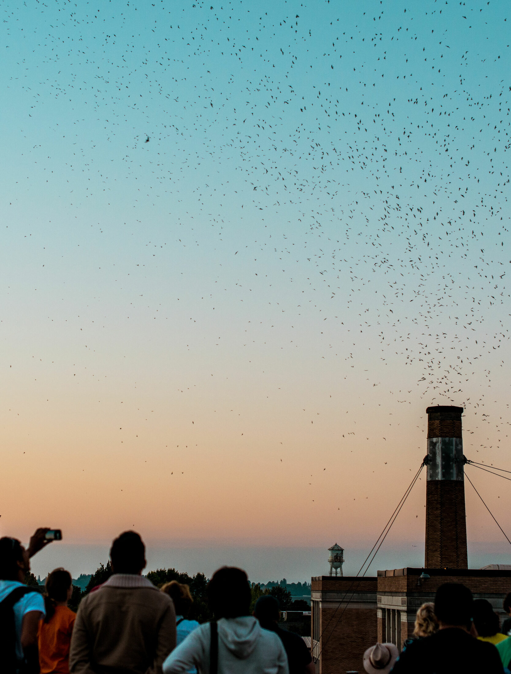 Color climax tiny tove