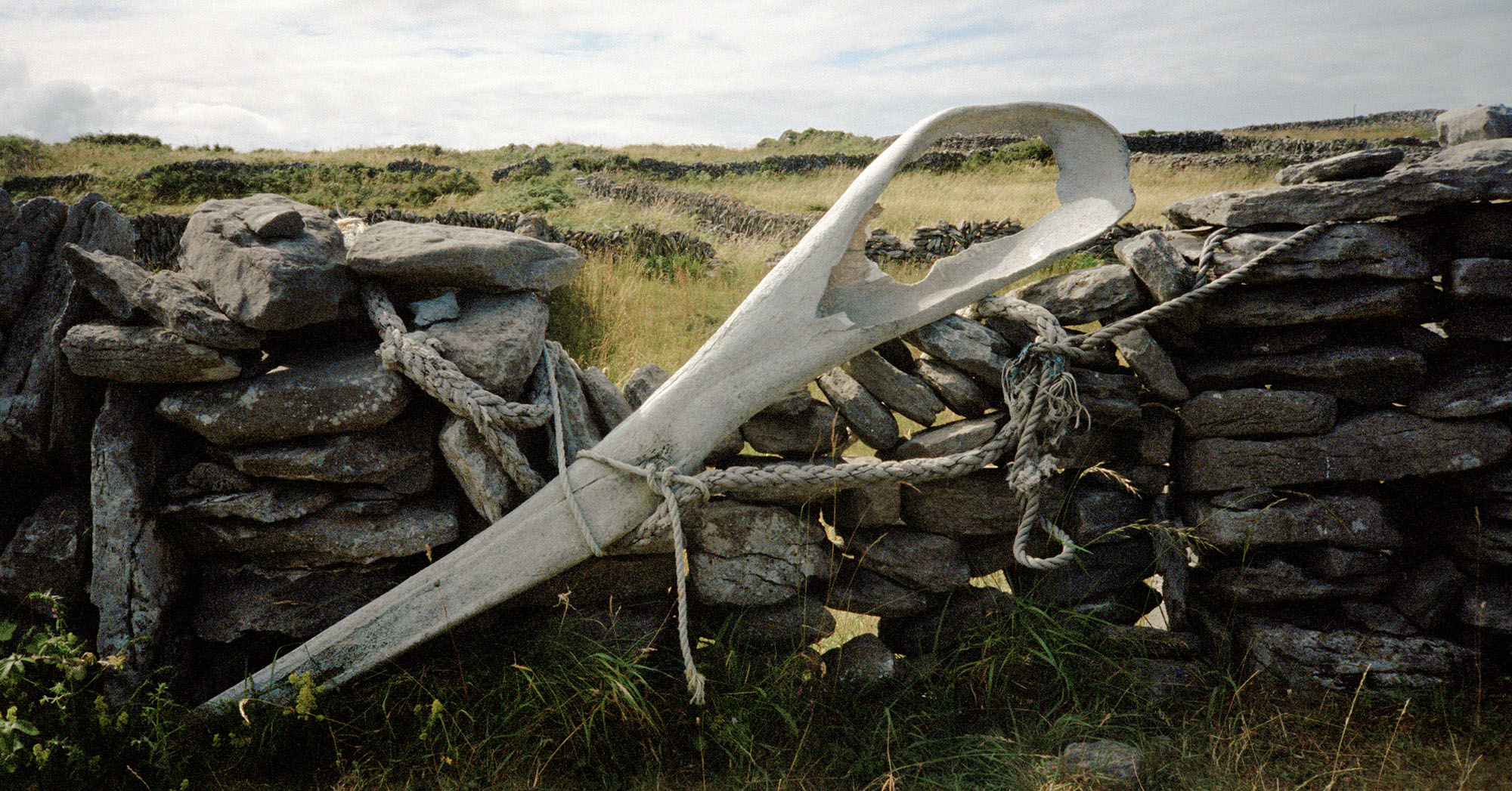 Thirty Words Thirty-Two Words for Field – Manchán Magan