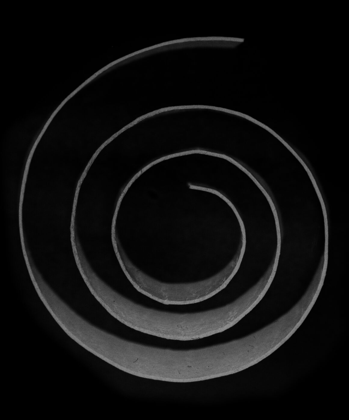 Song of the Seasons – Emergence Magazine